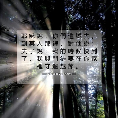 Picture 07 - 馬 太 福 音 26:18 CUVT - 耶 穌 說 ： 你 們 進 城 去 ， 到 某 - Bible Verse Picture