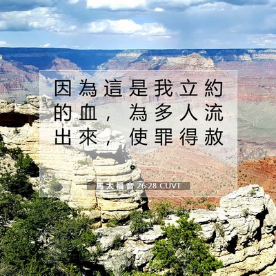 Picture 07 - 馬 太 福 音 26:28 CUVT - 因 為 這 是 我 立 約 的 血 ， 為 多 - Bible Verse Picture