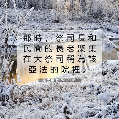 Picture 07 - 馬 太 福 音 26:3 CUVT - 那 時 ， 祭 司 長 和 民 間 的 長 老 - Bible Verse Picture