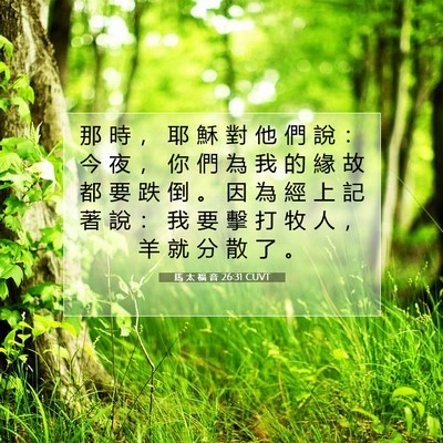 Picture 07 - 馬 太 福 音 26:31 CUVT - 那 時 ， 耶 穌 對 他 們 說 ： 今 夜 - Bible Verse Picture