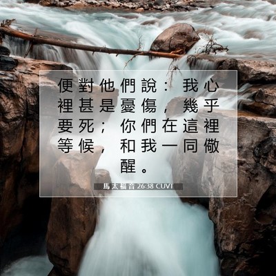 Picture 07 - 馬 太 福 音 26:38 CUVT - 便 對 他 們 說 ： 我 心 裡 甚 是 憂 - Bible Verse Picture