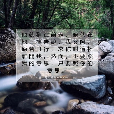Picture 07 - 馬 太 福 音 26:39 CUVT - 他 就 稍 往 前 走 ， 俯 伏 在 地 ， - Bible Verse Picture