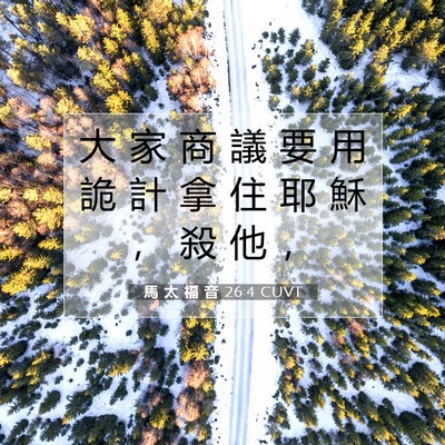 Picture 07 - 馬 太 福 音 26:4 CUVT - 大 家 商 議 要 用 詭 計 拿 住 耶 穌 - Bible Verse Picture