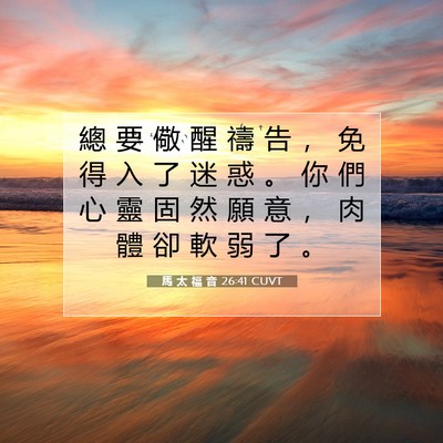 Picture 07 - 馬 太 福 音 26:41 CUVT - 總 要 儆 醒 禱 告 ， 免 得 入 了 迷 - Bible Verse Picture