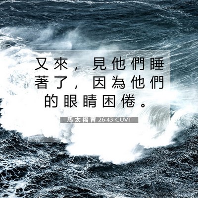 Picture 07 - 馬 太 福 音 26:43 CUVT - 又 來 ， 見 他 們 睡 著 了 ， 因 為 - Bible Verse Picture