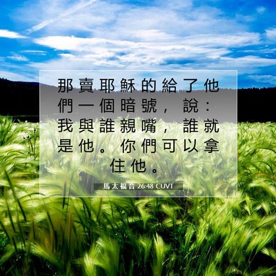 Picture 07 - 馬 太 福 音 26:48 CUVT - 那 賣 耶 穌 的 給 了 他 們 一 個 暗 - Bible Verse Picture