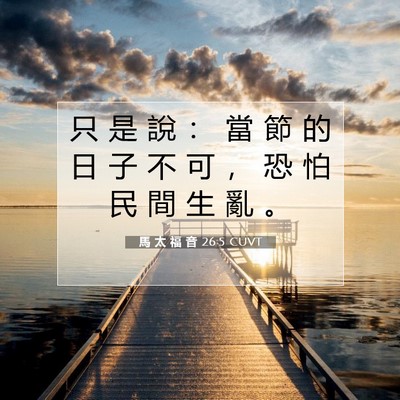 Picture 07 - 馬 太 福 音 26:5 CUVT - 只 是 說 ： 當 節 的 日 子 不 可 ， - Bible Verse Picture