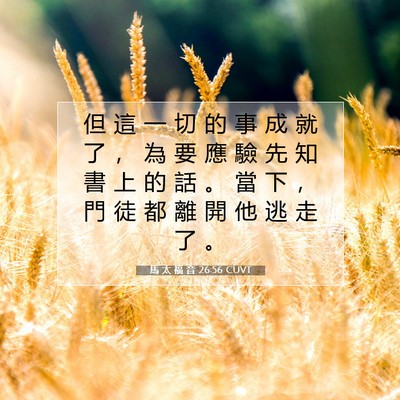 Picture 07 - 馬 太 福 音 26:56 CUVT - 但 這 一 切 的 事 成 就 了 ， 為 要 - Bible Verse Picture