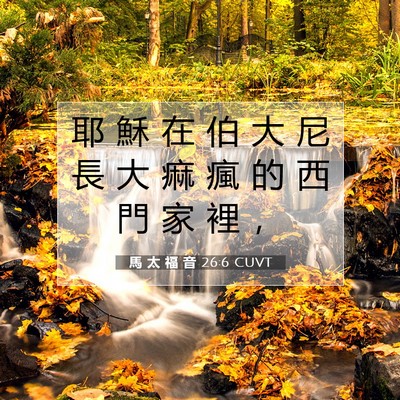 Picture 07 - 馬 太 福 音 26:6 CUVT - 耶 穌 在 伯 大 尼 長 大 痲 瘋 的 西 - Bible Verse Picture