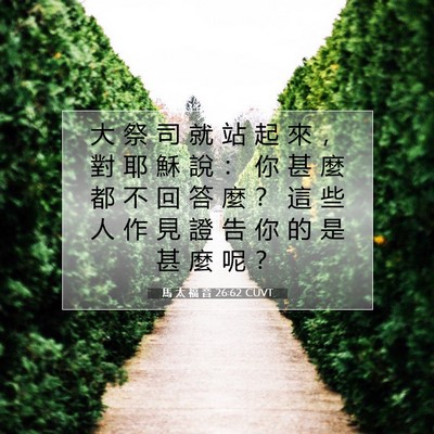 Picture 07 - 馬 太 福 音 26:62 CUVT - 大 祭 司 就 站 起 來 ， 對 耶 穌 說 - Bible Verse Picture