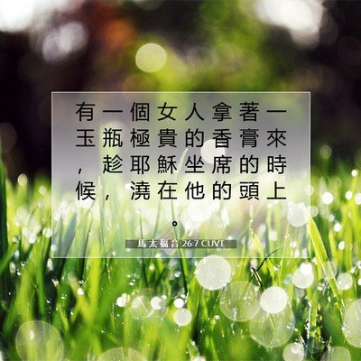 Picture 07 - 馬 太 福 音 26:7 CUVT - 有 一 個 女 人 拿 著 一 玉 瓶 極 貴 - Bible Verse Picture