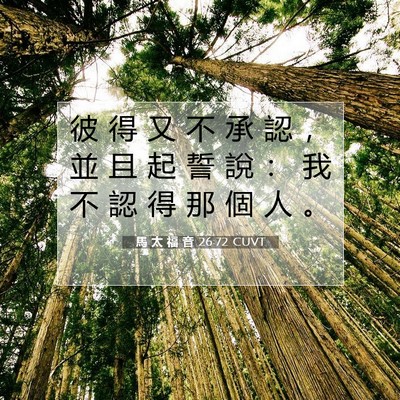 Picture 07 - 馬 太 福 音 26:72 CUVT - 彼 得 又 不 承 認 ， 並 且 起 誓 說 - Bible Verse Picture