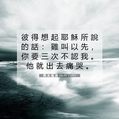 Picture 07 - 馬 太 福 音 26:75 CUVT - 彼 得 想 起 耶 穌 所 說 的 話 ： 雞 - Bible Verse Picture