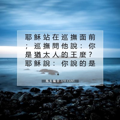 Picture 07 - 馬 太 福 音 27:11 CUVT - 耶 穌 站 在 巡 撫 面 前 ； 巡 撫 問 - Bible Verse Picture