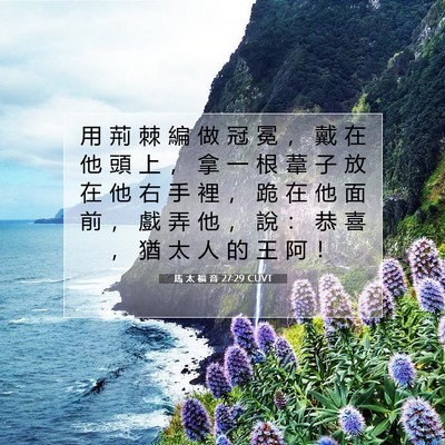 Picture 07 - 馬 太 福 音 27:29 CUVT - 用 荊 棘 編 做 冠 冕 ， 戴 在 他 頭 - Bible Verse Picture