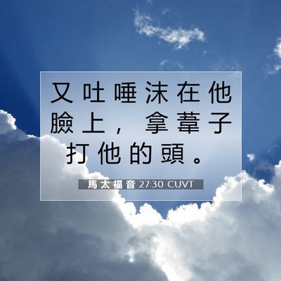 Picture 07 - 馬 太 福 音 27:30 CUVT - 又 吐 唾 沫 在 他 臉 上 ， 拿 葦 子 - Bible Verse Picture