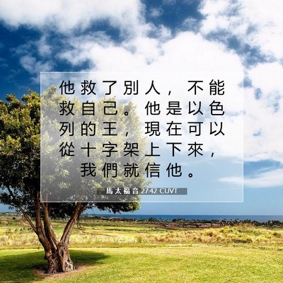 Picture 07 - 馬 太 福 音 27:42 CUVT - 他 救 了 別 人 ， 不 能 救 自 己 。 - Bible Verse Picture
