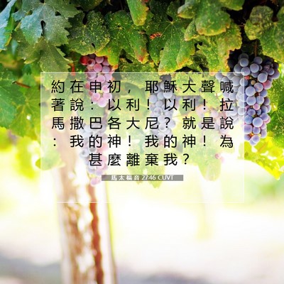 Picture 07 - 馬 太 福 音 27:46 CUVT - 約 在 申 初 ， 耶 穌 大 聲 喊 著 說 - Bible Verse Picture