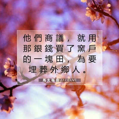 Picture 07 - 馬 太 福 音 27:7 CUVT - 他 們 商 議 ， 就 用 那 銀 錢 買 了 - Bible Verse Picture
