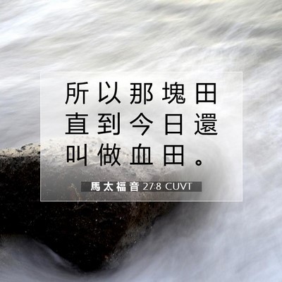 Picture 07 - 馬 太 福 音 27:8 CUVT - 所 以 那 塊 田 直 到 今 日 還 叫 做 - Bible Verse Picture
