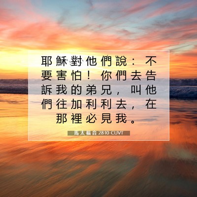 Picture 07 - 馬 太 福 音 28:10 CUVT - 耶 穌 對 他 們 說 ： 不 要 害 怕 ！ - Bible Verse Picture