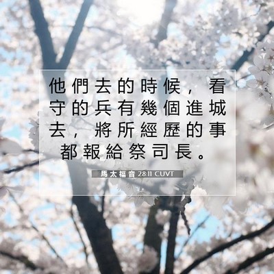 Picture 07 - 馬 太 福 音 28:11 CUVT - 他 們 去 的 時 候 ， 看 守 的 兵 有 - Bible Verse Picture