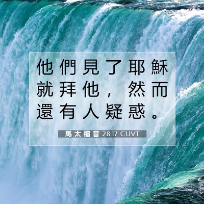 Picture 07 - 馬 太 福 音 28:17 CUVT - 他 們 見 了 耶 穌 就 拜 他 ， 然 而 - Bible Verse Picture