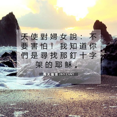 Picture 07 - 馬 太 福 音 28:5 CUVT - 天 使 對 婦 女 說 ： 不 要 害 怕 ！ - Bible Verse Picture