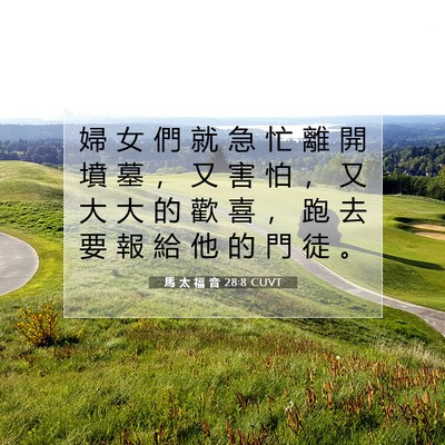 Picture 07 - 馬 太 福 音 28:8 CUVT - 婦 女 們 就 急 忙 離 開 墳 墓 ， 又 - Bible Verse Picture