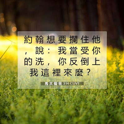 Picture 07 - 馬 太 福 音 3:14 CUVT - 約 翰 想 要 攔 住 他 ， 說 ： 我 當 - Bible Verse Picture