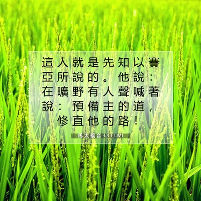 Picture 07 - 馬 太 福 音 3:3 CUVT - 這 人 就 是 先 知 以 賽 亞 所 說 的 - Bible Verse Picture