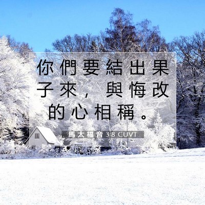 Picture 07 - 馬 太 福 音 3:8 CUVT - 你 們 要 結 出 果 子 來 ， 與 悔 改 - Bible Verse Picture