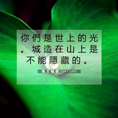 Picture 07 - 馬 太 福 音 5:14 CUVT - 你 們 是 世 上 的 光 。 城 造 在 山 - Bible Verse Picture