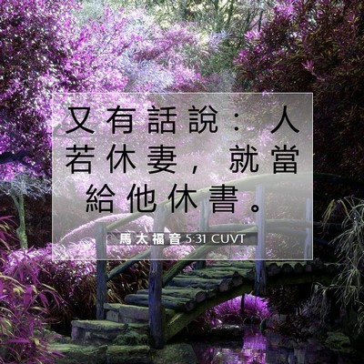 Picture 07 - 馬 太 福 音 5:31 CUVT - 又 有 話 說 ： 人 若 休 妻 ， 就 當 - Bible Verse Picture