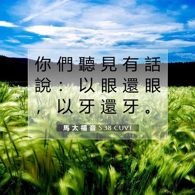 Picture 07 - 馬 太 福 音 5:38 CUVT - 你 們 聽 見 有 話 說 ： 以 眼 還 眼 - Bible Verse Picture