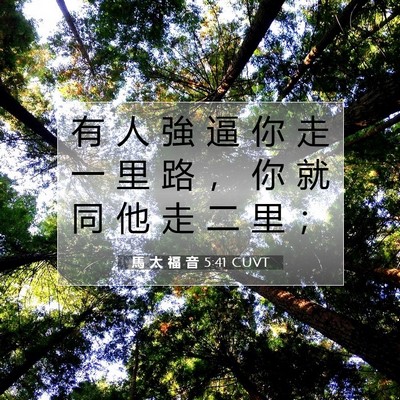 Picture 07 - 馬 太 福 音 5:41 CUVT - 有 人 強 逼 你 走 一 里 路 ， 你 就 - Bible Verse Picture