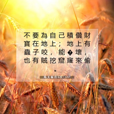 Picture 07 - 馬 太 福 音 6:19 CUVT - 不 要 為 自 己 積 儹 財 寶 在 地 上 - Bible Verse Picture