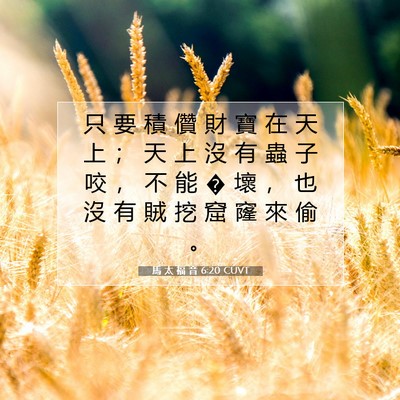 Picture 07 - 馬 太 福 音 6:20 CUVT - 只 要 積 儹 財 寶 在 天 上 ； 天 上 - Bible Verse Picture