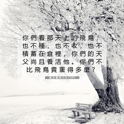 Picture 07 - 馬 太 福 音 6:26 CUVT - 你 們 看 那 天 上 的 飛 鳥 ， 也 不 - Bible Verse Picture