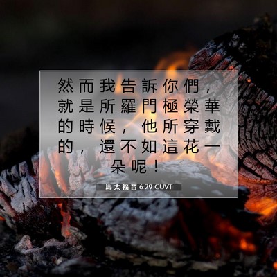 Picture 07 - 馬 太 福 音 6:29 CUVT - 然 而 我 告 訴 你 們 ， 就 是 所 羅 - Bible Verse Picture