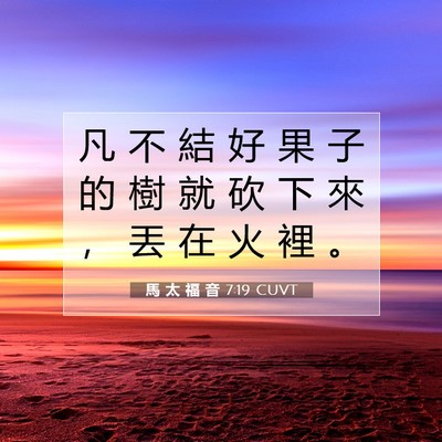 Picture 07 - 馬 太 福 音 7:19 CUVT - 凡 不 結 好 果 子 的 樹 就 砍 下 來 - Bible Verse Picture