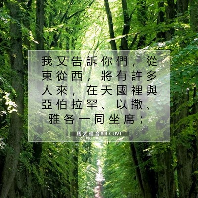 Picture 07 - 馬 太 福 音 8:11 CUVT - 我 又 告 訴 你 們 ， 從 東 從 西 ， - Bible Verse Picture