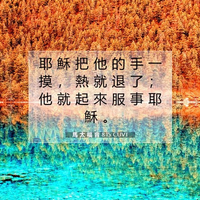 Picture 07 - 馬 太 福 音 8:15 CUVT - 耶 穌 把 他 的 手 一 摸 ， 熱 就 退 - Bible Verse Picture