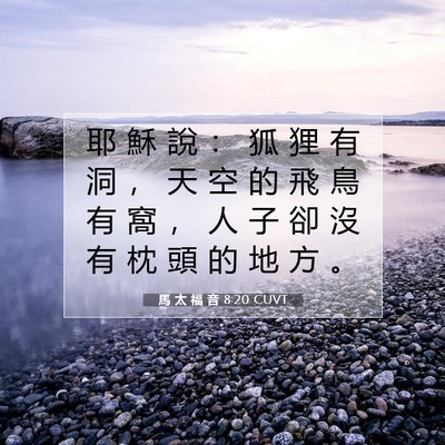 Picture 07 - 馬 太 福 音 8:20 CUVT - 耶 穌 說 ： 狐 狸 有 洞 ， 天 空 的 - Bible Verse Picture