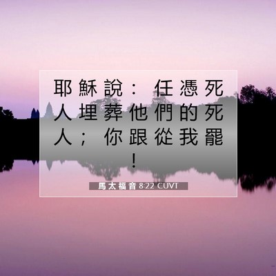 Picture 07 - 馬 太 福 音 8:22 CUVT - 耶 穌 說 ： 任 憑 死 人 埋 葬 他 們 - Bible Verse Picture