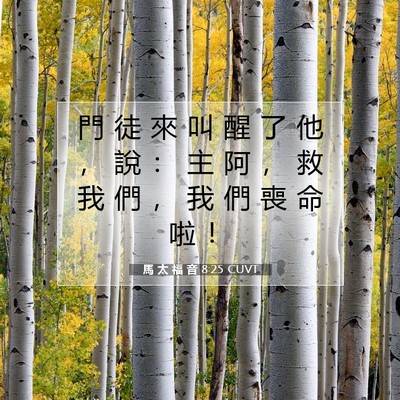 Picture 07 - 馬 太 福 音 8:25 CUVT - 門 徒 來 叫 醒 了 他 ， 說 ： 主 阿 - Bible Verse Picture