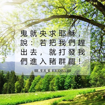 Picture 07 - 馬 太 福 音 8:31 CUVT - 鬼 就 央 求 耶 穌 ， 說 ： 若 把 我 - Bible Verse Picture