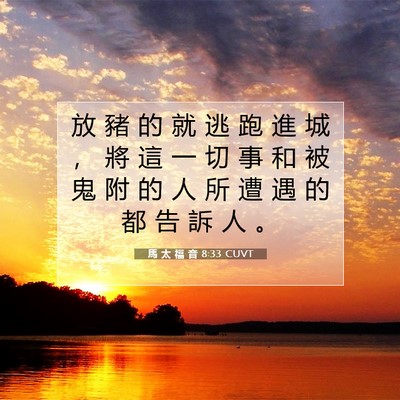 Picture 07 - 馬 太 福 音 8:33 CUVT - 放 豬 的 就 逃 跑 進 城 ， 將 這 一 - Bible Verse Picture