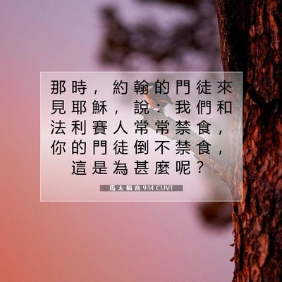 Picture 07 - 馬 太 福 音 9:14 CUVT - 那 時 ， 約 翰 的 門 徒 來 見 耶 穌 - Bible Verse Picture