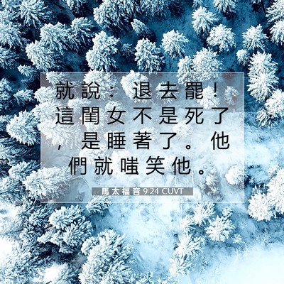 Picture 07 - 馬 太 福 音 9:24 CUVT - 就 說 ： 退 去 罷 ！ 這 閨 女 不 是 - Bible Verse Picture